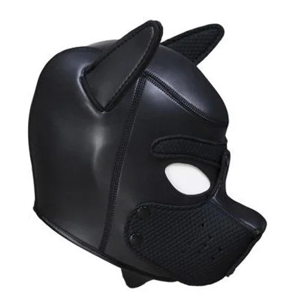 pandtstore.myshopify3460103