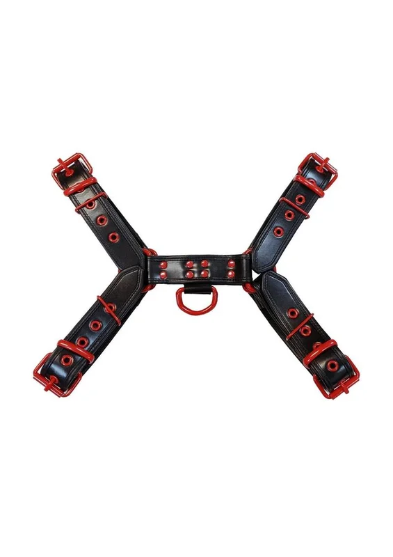 pandtstore.myshopify3523175
