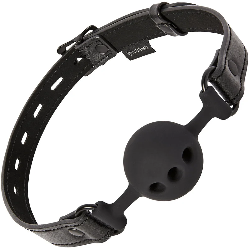 shevibe3504027