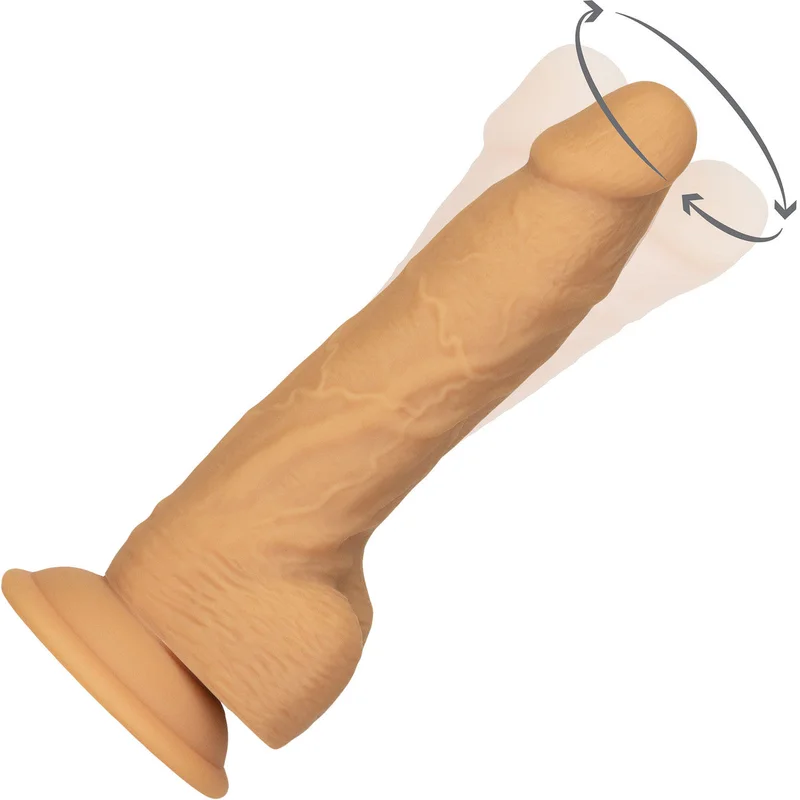 shevibe3524058