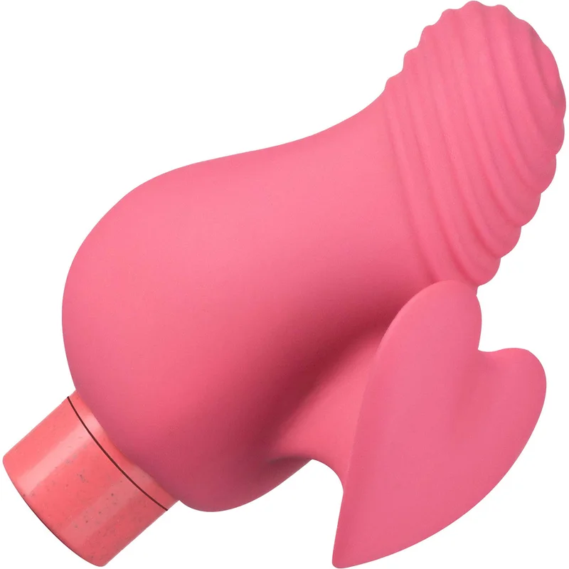 shevibe3528455