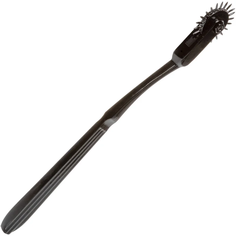 shevibe3538910