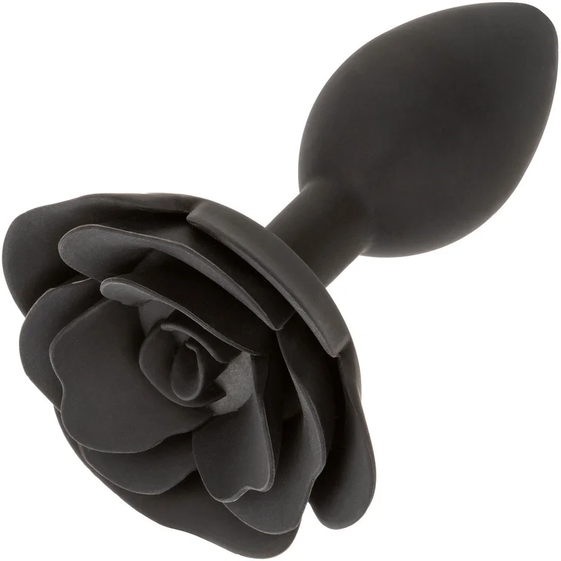 shevibe3554090
