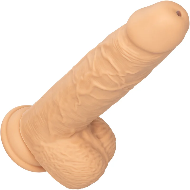 shevibe3557585