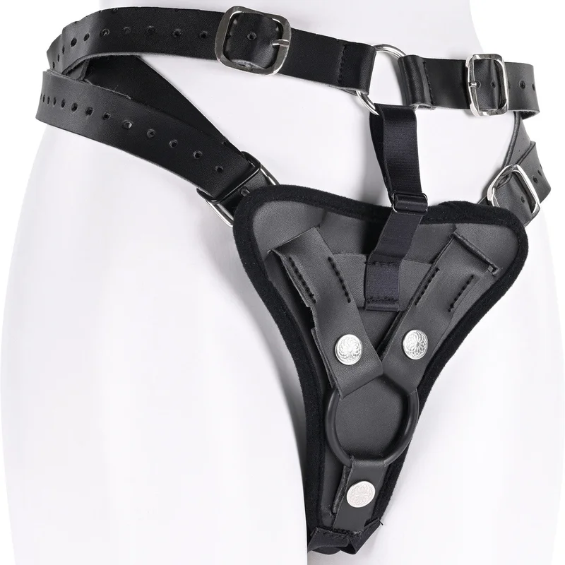 shevibe3565078
