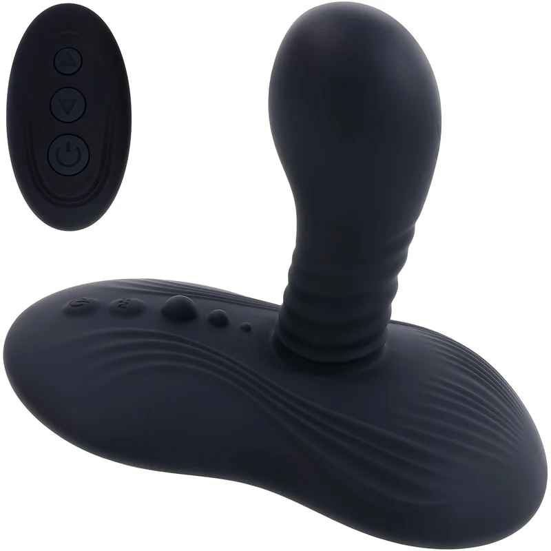 shevibe3600503